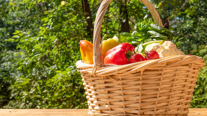 Basket with ripe vegetables on a rustic wooden table on a background of trees in the yard on a sunny day, close-up, copy space