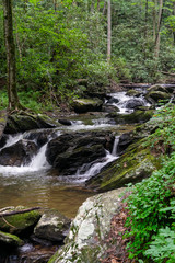 Obraz premium Mountain stream
