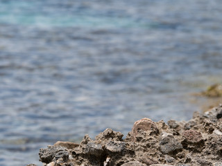 kleine Felsen mit Mittelmeer im Hintergrund 