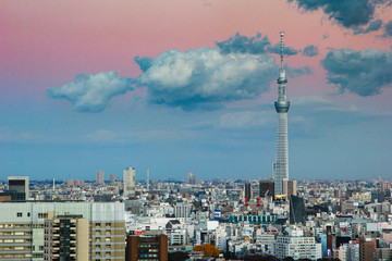 . Tokyo Sky Tree, one of Japan's main symbols is the tallest communication tower in the country.