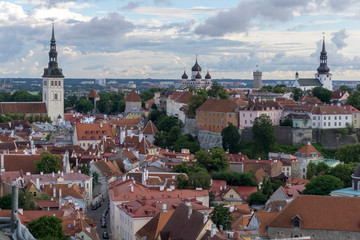 Obraz premium Aerial view of Tallinn. Red roofs
