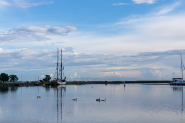 Landscape with boat swans in a lake. Estonia