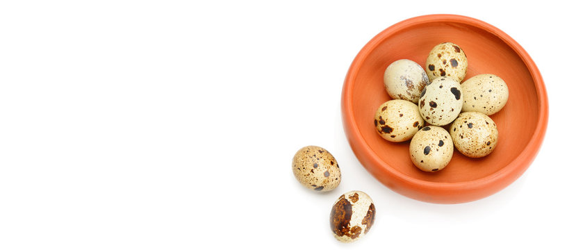Guail eggs isolated on white background. Free space for text. Wide photo.