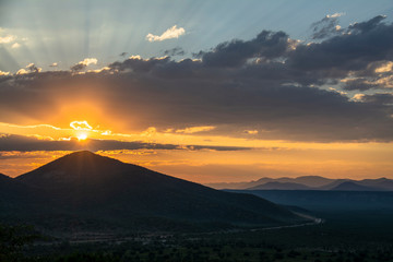 game safari im etosha nationalpark namibia