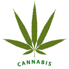 Cannabis leaf - isolated on white background - vector. Health concept. Medical cannabis concept Medicinal plants