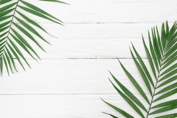 A green palm leaf on the white wooden background.