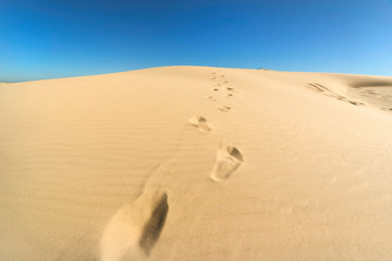 Stockton beach near Anna Bay in New South Wales, Australia.