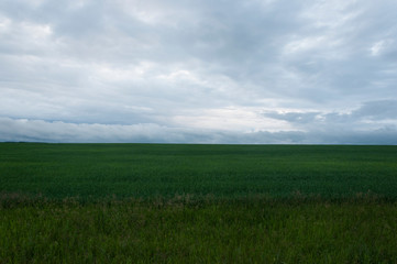 Fototapeta na wymiar dark clouds over field with grass