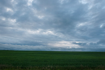 dark clouds over field with grass