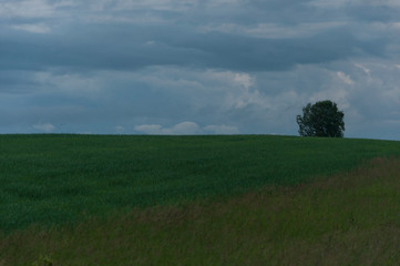 Fototapeta na wymiar dark clouds over field with grass