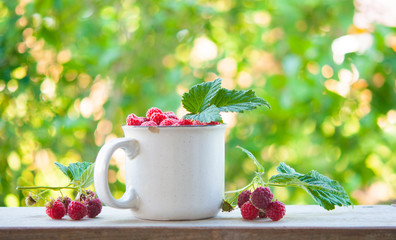  Sweet garden berries. Red berries.