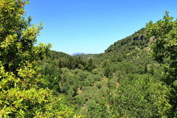 Trail in Kollita gorges (Moudriano, Poros, Moundros gorge), Crete, Greece