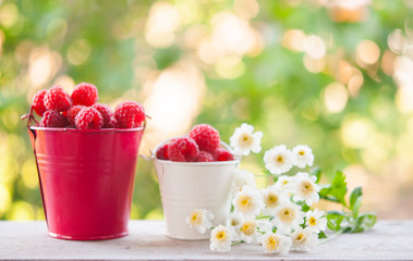 Summer background with garden berries and bouquet of white flowers