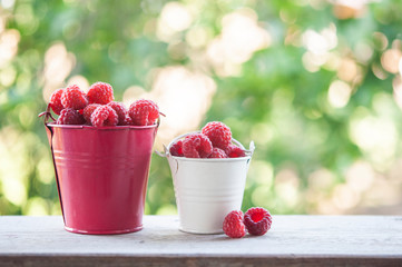  Sweet garden berries. Red berries.