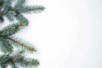 Fir branches on white wooden background. Christmas wallpaper. Flat lay, copy space.