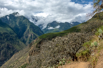 Hiking path at high altitude Peruvian mountains, the Choquequirao trek to Machu Picchu, alternative to Inca Trail, Peru