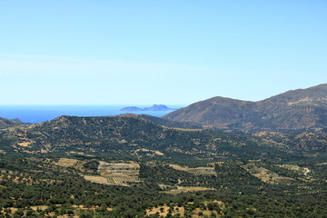 Fototapeta na wymiar Olive plantations Crete, Greece, Europe