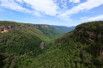 Landscape near Fitzroy falls in Australia.