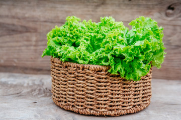 Close up of green leaves of kale in a wicker basket on a wooden background