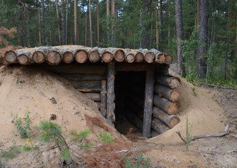 a small low wooden house among trees in the forest