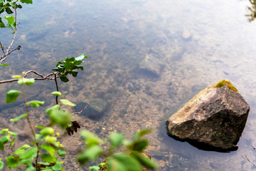 stone on the lake close-up, sand, greenery