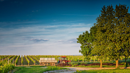 Fototapety na wymiar - Fototapeta24.pl