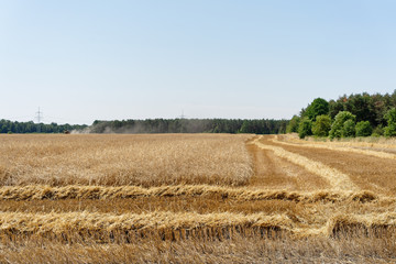 Fototapeta premium Partly harvested grain field in dry weather, cloudless sky, in the background combine harvester with the typical dust cloud - Location: Germany