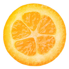 kumquat slice isolated on white background, clipping path, full depth of field