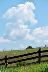 Fototapeta na wymiar Rural Pasture with Fence
