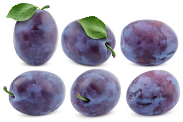 plum isolated on white background, clipping path, full depth of field