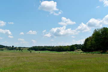 Agricultural Landscape