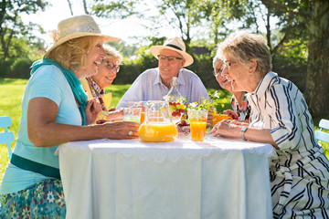 Elderly friends having picnic in park on a sunny day.