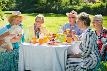 Senior family members are picnicking in park.
