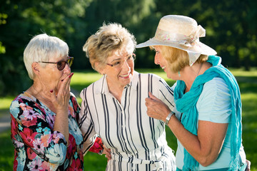Three elderly female friends gossiping outdoors.