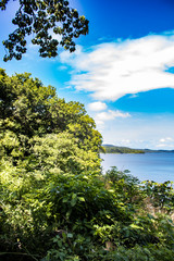 Fototapeta na wymiar Thick Jungle Plants Line the Beach with a View of the Lake on Zapatera Island outside of Granada, Nicaragua