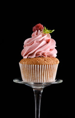 Beautiful cupcake with raspberry cream and a sprig of mint
