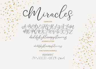 Hand drawn vector alphabet ABC font with letters, numbers, symbols. For calligraphy, lettering, hand made quotes.