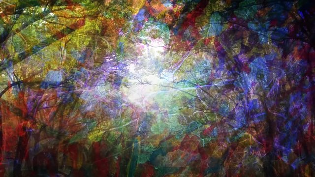 Multicolored Light and Pattern Shines on Abstract Scene - 4K Seamless Loop Motion Background Animation