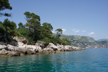 Naklejka premium coastline