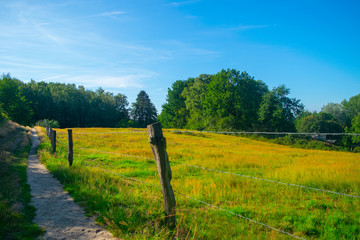Fototapeta premium A path next to a Dutch meadow