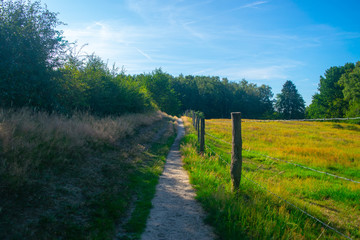 Fototapeta na wymiar A path next to a Dutch meadow