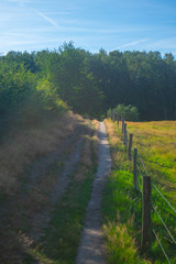 A path next to a Dutch meadow