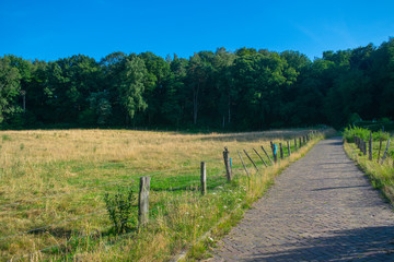Fototapeta na wymiar Stone path next to a meadow
