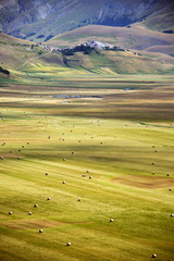 Fototapeta na wymiar A magnificent sunrise in Castelluccio di Norcia. expecting more to the thousand colours of flowering