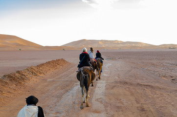 La nave del deserto