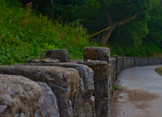 Japan trip photo shoot for adobe