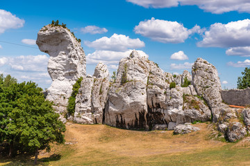 Fototapeta na wymiar Amazing limestone rocks near Ogrodzieniec Castle