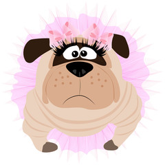 Pug with bows and skirt. Pedigree dog. Vector art