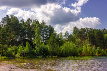 Summer landscape on the shore of a forest lake with clear transparent blue water.