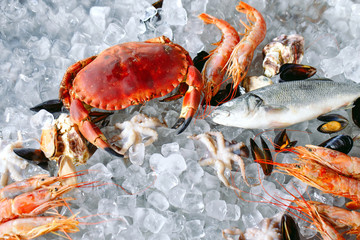 Seafood on ice. Crabs, sturgeon, shellfish, shrimp, Rapana, Dorado, on white ice.